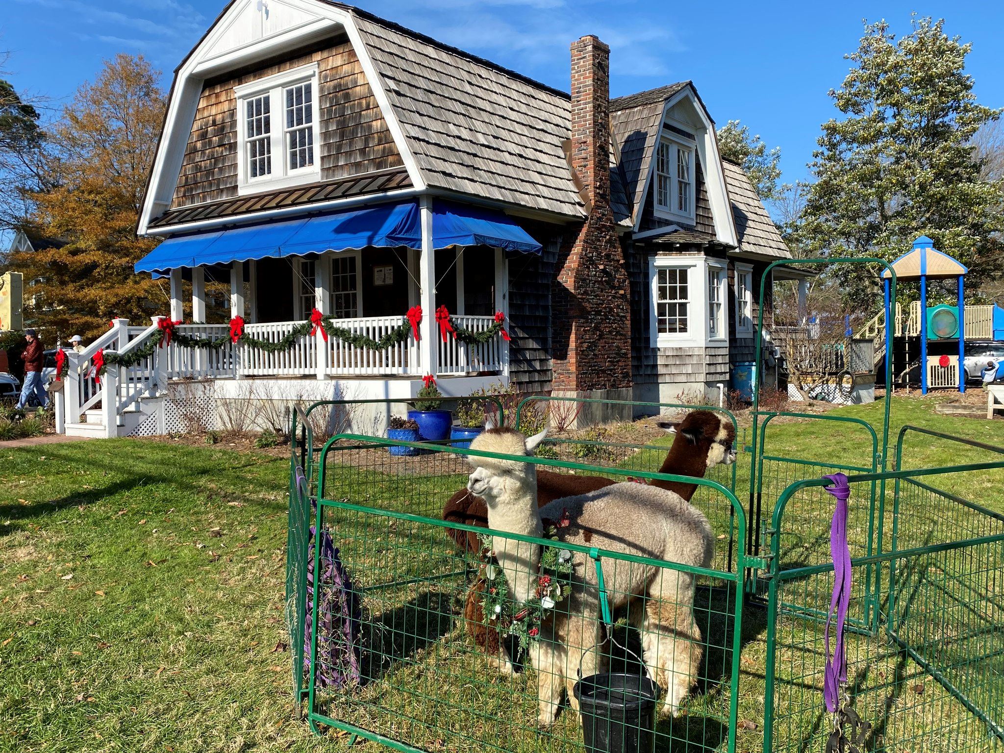 409744935_748544290642964_3807946155259164168_n